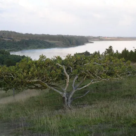 Vakantiehuis Skibstedborg - Naturhytte I Thy Sønder Ydby