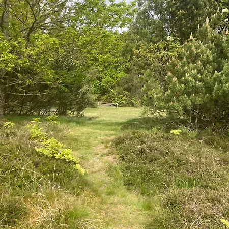 Vakantiehuis Skibstedborg - Naturhytte I Thy Sønder Ydby