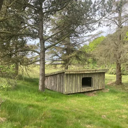 Skibstedborg - Naturhytte I Thy Holiday home *
